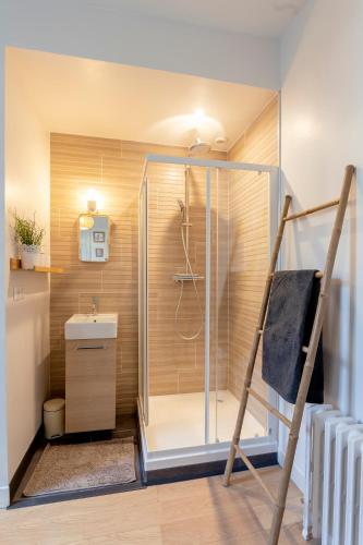 une salle de bain avec une douche avec une porte vitrée dans l'établissement LE CARPE DIEM, à Tours