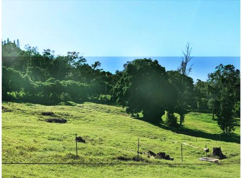 a field with green grass and trees in the background at Aeolian Ranch in Kailua-Kona
