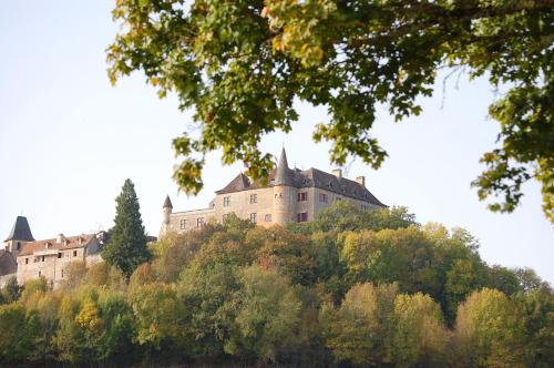 a castle on top of a hill with trees at La Balme in Loubressac