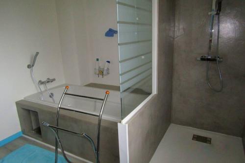 a bathroom with a shower and a sink at Maison individuelle Côte Basque ( Ciboure ) in Ciboure