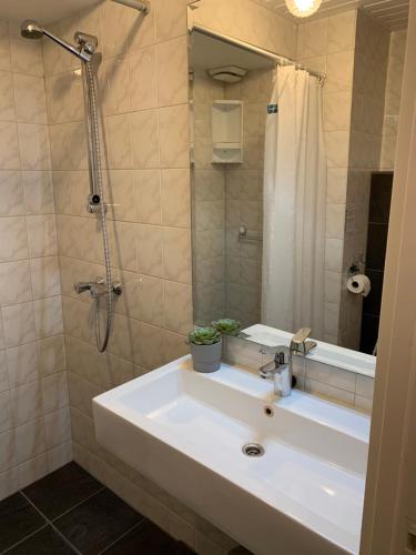 een badkamer met een wastafel, een douche en een spiegel bij Appartement 1 aan het strand met hond in Zoutelande