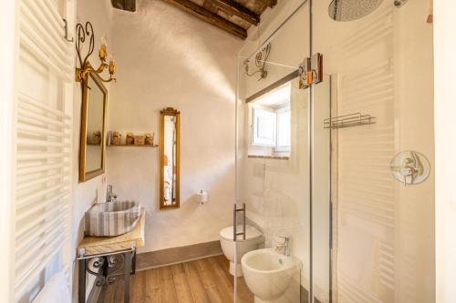 a bathroom with a toilet and a sink and a mirror at Podere Fontanino in Arezzo