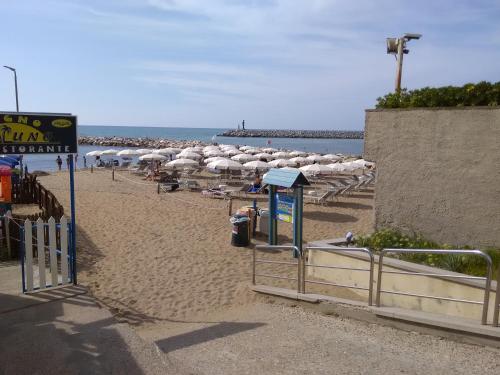 a beach with a bunch of umbrellas and the ocean at Costa degli Etruschi in San Vincenzo
