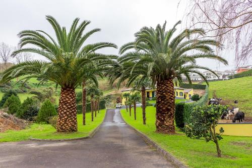 two palm trees on the side of a road at Quinta das Palmeiras in Povoação