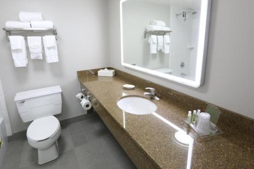 a bathroom with a toilet and a sink and a mirror at Holiday Inn O'Hare Area by IHG in Rosemont