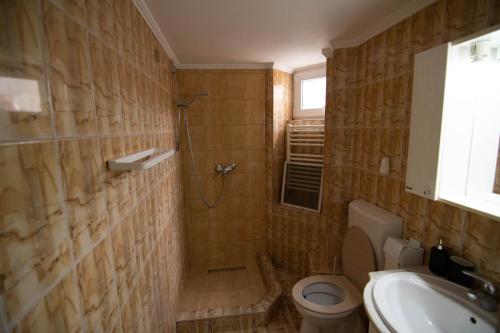 e bagno con doccia, servizi igienici e lavandino. di Glamour ultracentral apartment a Oradea
