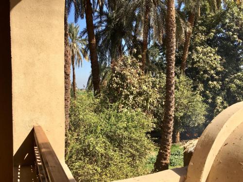 a building with palm trees in the background at Djorff Palace in Luxor