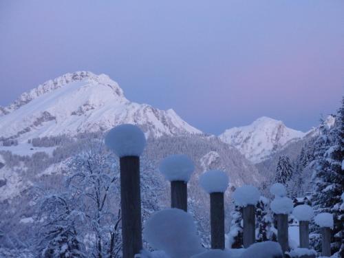 a mountain covered in snow with a row of lights at Le Roitelet in Châtel