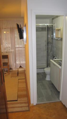 a bathroom with a shower and a toilet and a sink at Podelniska in Porąbka