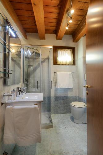 a bathroom with a shower and a sink and a toilet at Residence San Miguel 8 in Vicenza