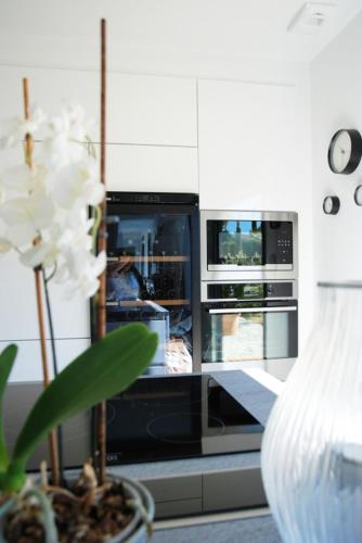 une cuisine avec un four et une plante dans un vase dans l'établissement Villa Lou Gaou, à Six-Fours-les-Plages