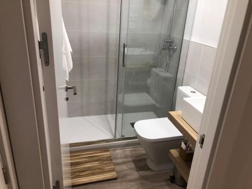 a bathroom with a shower and a toilet and a sink at Lagasca Charming Apartment in Madrid