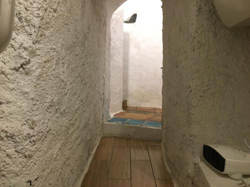 a bathroom with a shower and a toilet in a room at Casa Cueva “La Estrella” in Granada