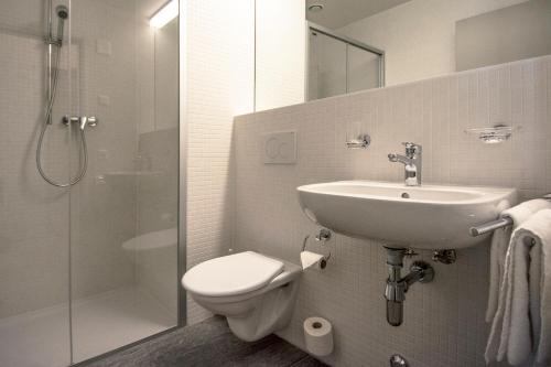 a bathroom with a sink and a toilet and a shower at Campra Alpine Lodge & Spa in Olivone