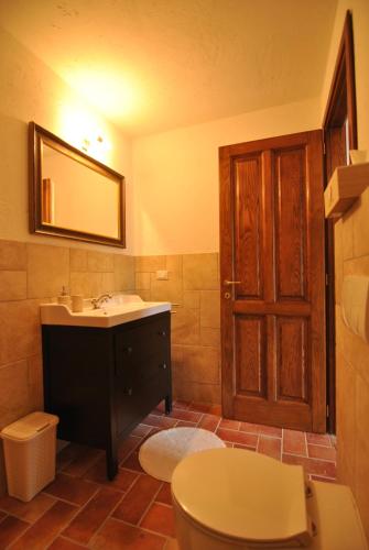 a bathroom with a sink and a toilet and a mirror at B&B Casale delle farfalle in Tornolo