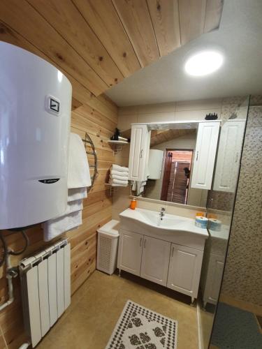 a small kitchen with a sink and a mirror at Holiday Home Vile Calimero in Žabljak
