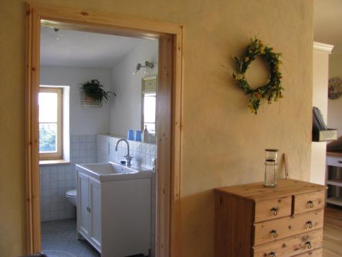 uma casa de banho com um lavatório, um WC e um espelho. em Sonnenhof Muldental em Colditz
