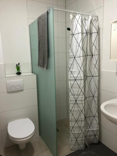ein Bad mit einem WC und einer Dusche in der Unterkunft Apartment in OG Schaupenstiel in Northeim