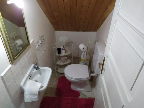 a small bathroom with a toilet and a sink at CASA IDA - ClPAT 22253 in Tregiovo