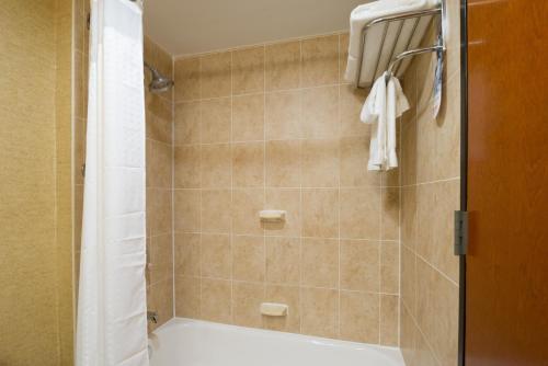 La salle de bains est pourvue d'une douche avec rideau de douche. dans l'établissement Holiday Inn Express - Wall Street, an IHG Hotel, à New York