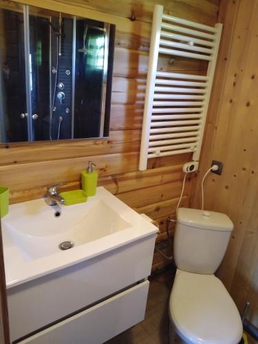 a bathroom with a white sink and a toilet at chalets les 5 loups in Gerbépal