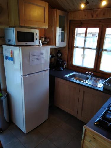 a kitchen with a white refrigerator and a microwave at chalets les 5 loups in Gerbépal