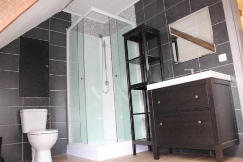 uma casa de banho com um WC, um lavatório e um espelho. em De Blauwer, Roesbrugge em Poperinge