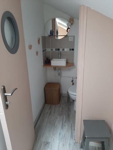 une petite salle de bain avec un lavabo et des toilettes dans l'établissement Gîte la maison de Mika, à Saint-Floret