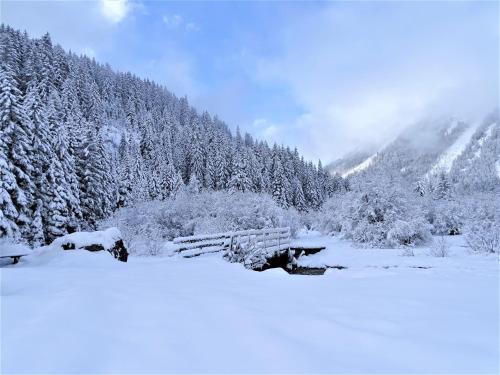 Fotografie z fotogalerie ubytování Gästehaus Geir v destinaci Obernberg am Brenner