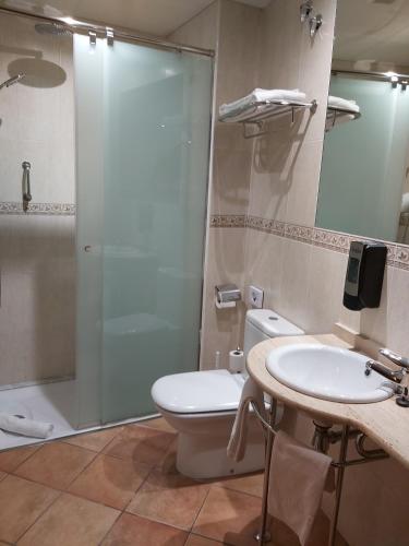 ein Badezimmer mit Dusche, Toilette und Waschbecken in der Unterkunft Hotel-Restaurante La Quadra in Maçanet de Cabrenys