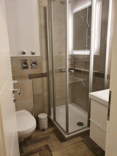 een badkamer met een douche en een toilet bij Appartement ZweiteHeimat in Bad Sachsa
