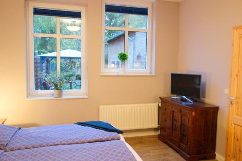 um quarto com uma cama e uma televisão e duas janelas em ViaNova14 em Reuterstadt Stavenhagen