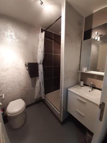 une salle de bain avec une douche, des toilettes et un lavabo dans l'établissement Gîte La Grange 9 pers, à Saint-Georges-sur-Cher