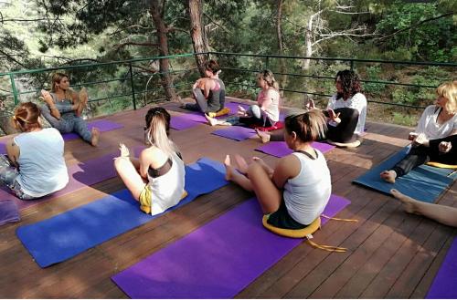 a group of people sitting on a deck doing yoga at Kazdaglari Karye Müze Hotel in Kucukkuyu
