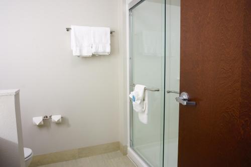 Kylpyhuone majoituspaikassa Holiday Inn Express & Suites Omaha - Millard Area, an IHG Hotel