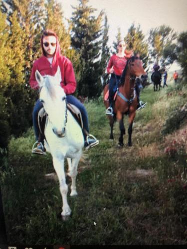 two people riding on horses on a field at Basicò un balcone sul mare-Casa I CARRUGGI- Case vacanza Sicilia&Toscana- in Basicò