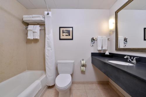 Kylpyhuone majoituspaikassa Holiday Inn Madison at The American Center, an IHG Hotel