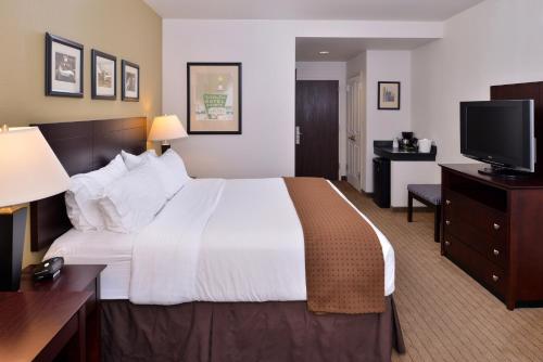 a hotel room with a large bed and a flat screen tv at Holiday Inn Madison at The American Center by IHG in Madison