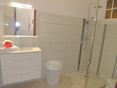 a bathroom with a shower and a sink and a mirror at Villa D ENNRY in Pointe-Noire