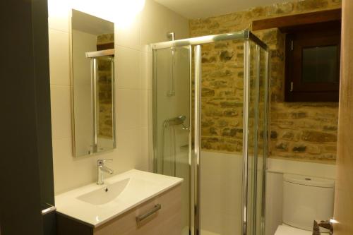 a bathroom with a shower and a sink and a toilet at La Solana de Jaca - Casa Collarada in Novés