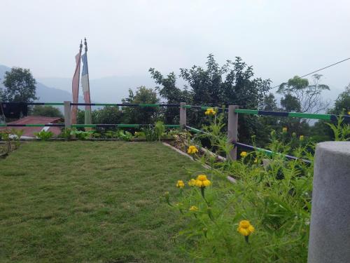 a garden with yellow flowers and a fence at Pandeys Homestay Kalimpong in Kalimpong