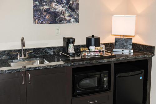 a kitchen counter with a microwave and a sink at Holiday Inn Paducah Riverfront by IHG in Paducah