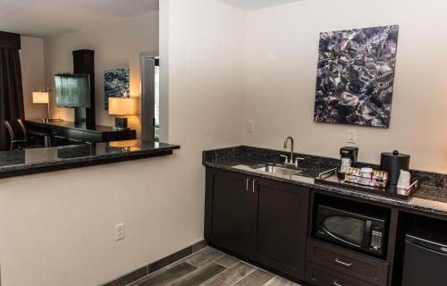 A kitchen or kitchenette at Holiday Inn Paducah Riverfront, an IHG Hotel