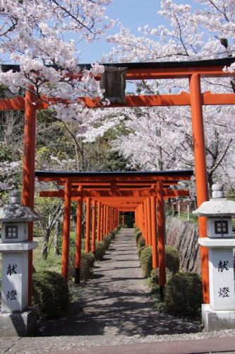 an orange torii gate with cherry trees in the background at GuestHouse MISAKI 一棟貸切駐車場2台最寄駅はJR石山駅瀬田南郷ゴルフ場近し琵琶湖京都宇治奈良大阪の観光は便利です in Otsu