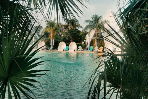 The swimming pool at or close to Pyramids in Florida