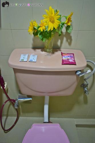 a pink toilet with a vase of flowers on top of it at Elephant Lovers Inn in Pinnawala