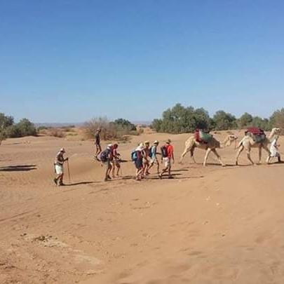 a group of people walking in the sand at berber sahara in Zagora