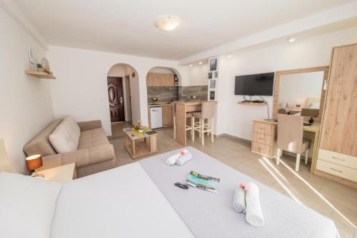 Una televisión o centro de entretenimiento en Skadar lake Apartments Pajovic