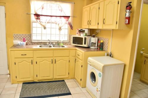 een keuken met een wastafel en een wasmachine bij Aanola Villas A2 Serenity Abode in Charlotte