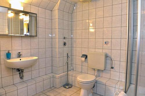 een badkamer met een toilet, een wastafel en een douche bij Pension Bloo Tomato in Zittau